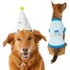 Frisco Confetti Birthday Hat, Medium/Large + Dog & Cat T-Shirt, Blue -PetNest Shop 302428 MAIN. SY630 V1623064656