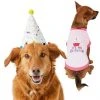 Frisco Confetti Birthday Hat, Medium/Large + Dog & Cat T-Shirt, Pink -PetNest Shop 302434 MAIN. SY630 V1623046658