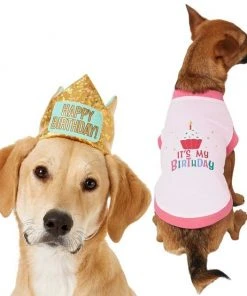 Frisco Happy Birthday Crown, Medium/Large + Dog & Cat T-Shirt, Pink