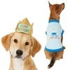Frisco Happy Birthday Crown, X-Small/Small + Dog & Cat T-Shirt, Blue -PetNest Shop 302470 MAIN. SY630 V1623076950
