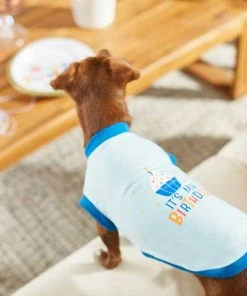 Frisco Happy Birthday Crown, X-Small/Small + Dog & Cat T-Shirt, Blue -PetNest Shop 302470 PT7. SY630 V1623037657