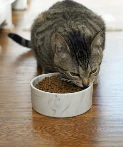 Frisco Marble Design Non-skid Ceramic Dog Bowl + Treat Jar with Wood Lid, 3.75 Cups -PetNest Shop 302482 PT4. SY630 V1623034666