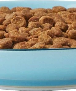 Frisco New York Non-skid Ceramic Dish, 0.50 Cup + Cat Bowl, 1.50 Cups 13 Frisco New York Non-skid Ceramic Dish, 0.50 Cup + Cat Bowl, 1.50 Cups -PetNest Shop 302488 PT2. SY630 V1623059244