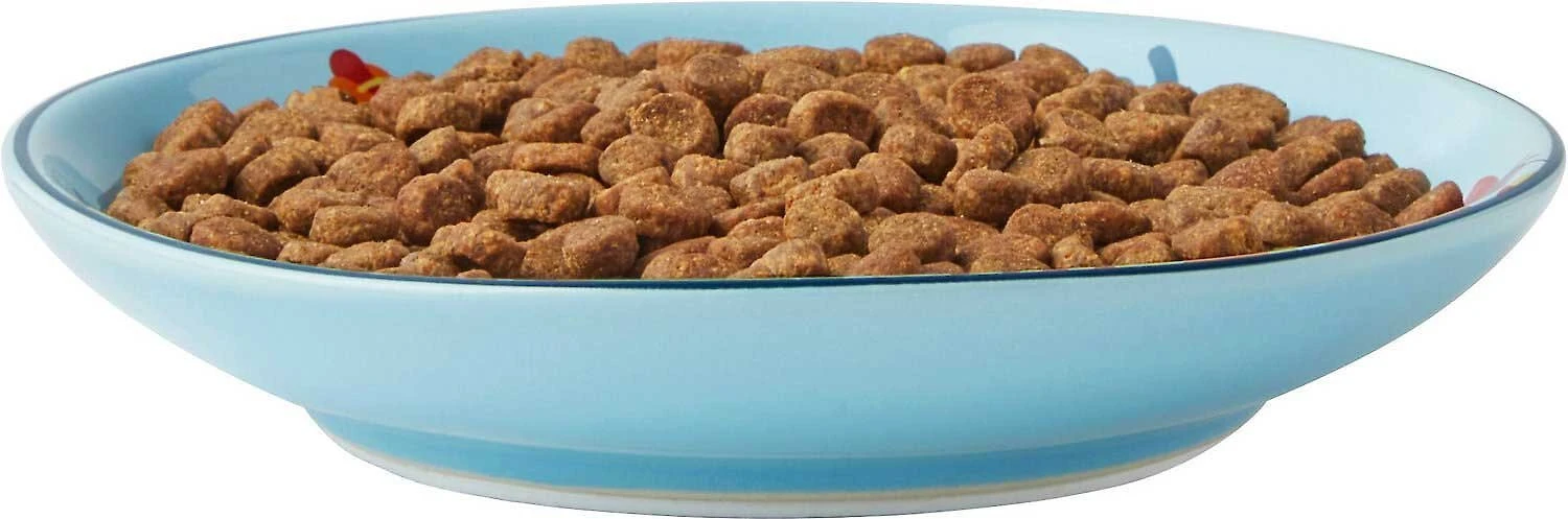 Frisco New York Non-skid Ceramic Dish, 0.50 Cup + Cat Bowl, 1.50 Cups 5 Frisco New York Non-skid Ceramic Dish, 0.50 Cup + Cat Bowl, 1.50 Cups - Image 3