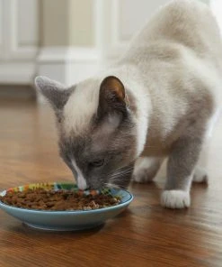 Frisco New York Non-skid Ceramic Dish, 0.50 Cup + Cat Bowl, 1.50 Cups 15 Frisco New York Non-skid Ceramic Dish, 0.50 Cup + Cat Bowl, 1.50 Cups -PetNest Shop 302488 PT4. SY630 V1623069142