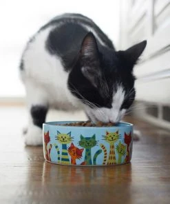 Frisco New York Non-skid Ceramic Dish, 0.50 Cup + Cat Bowl, 1.50 Cups 19 Frisco New York Non-skid Ceramic Dish, 0.50 Cup + Cat Bowl, 1.50 Cups -PetNest Shop 302488 PT8. SY630 V1623091056