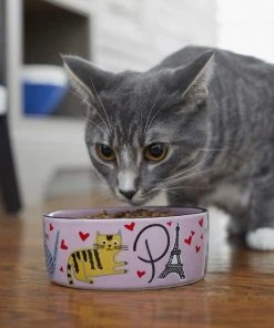 Frisco Paris Non-skid Ceramic Dish, 0.50 Cup + Cat Dish, 1.50 Cup -PetNest Shop 302490 PT8. SY630 V1623043046