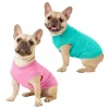 Frisco Basic Dog & Cat T-Shirt, Pink + Teal -PetNest Shop 302638 MAIN. SY630 V1623036153