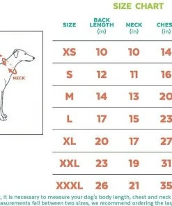 Frisco Basic Dog & Cat T-Shirt, Pink + Teal -PetNest Shop 302638 PT4. SY630 V1623075140