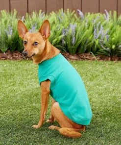 Frisco Basic Dog & Cat T-Shirt, Pink + Teal -PetNest Shop 302638 PT7. SY630 V1623049944
