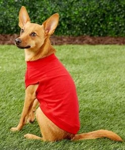 Frisco Basic Dog & Cat T-Shirt, Red + Teal -PetNest Shop 302650 PT3. SY630 V1623074841