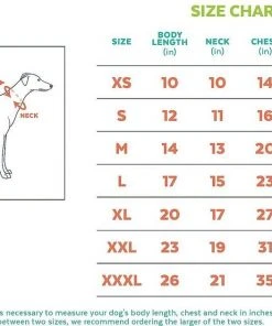 Frisco Basic Dog & Cat T-Shirt, Red + Teal -PetNest Shop 302650 PT8. SY630 V1623086254