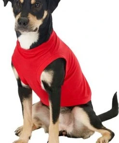 Frisco Basic T-Shirt, Red + Dog & Cat Hoodie, Red -PetNest Shop 302662 PT4. SY630 V1633128173