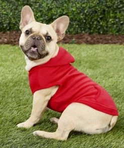Frisco Basic T-Shirt, Red + Dog & Cat Hoodie, Red -PetNest Shop 302662 PT7. SY630 V1633128453