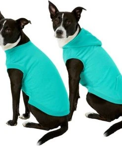 Frisco Basic T-Shirt, Teal + Dog & Cat Hoodie, Teal -PetNest Shop 302676 PT2. SY630 V1633127879