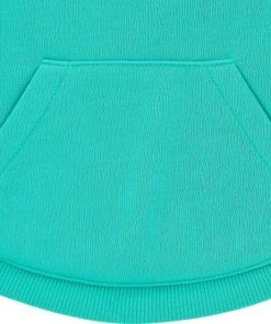 Frisco Basic T-Shirt, Teal + Dog & Cat Hoodie, Teal -PetNest Shop 302676 PT3. SY630 V1633123937