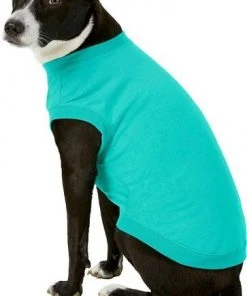 Frisco Basic T-Shirt, Teal + Dog & Cat Hoodie, Teal -PetNest Shop 302676 PT4. SY630 V1633123589