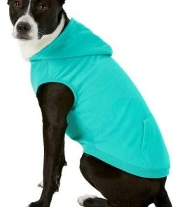 Frisco Basic T-Shirt, Teal + Dog & Cat Hoodie, Teal -PetNest Shop 302676 PT5. SY630 V1633126626