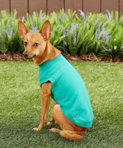 Frisco Basic T-Shirt, Teal + Dog & Cat Hoodie, Teal -PetNest Shop 302676 PT6. SY630 V1633127770