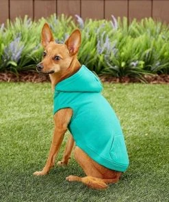 Frisco Basic T-Shirt, Teal + Dog & Cat Hoodie, Teal -PetNest Shop 302676 PT7. SY630 V1633123351