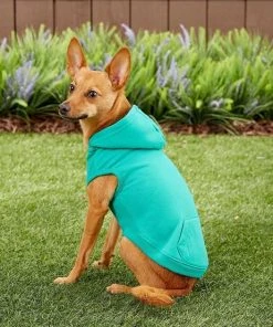 Frisco Basic T-Shirt, Teal + Dog & Cat Hoodie, Teal -PetNest Shop 302676 PT8. SY630 V1623057743