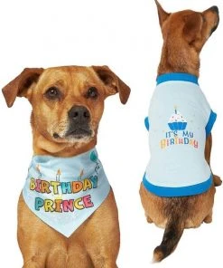 Frisco Birthday Prince Bandana, Medium/Large + Dog & Cat T-Shirt, Blue -PetNest Shop 302690 PT2. SY630 V1633059989