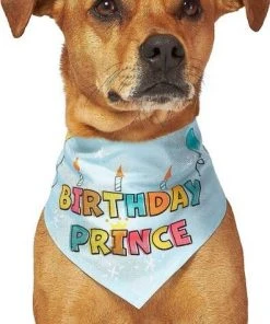 Frisco Birthday Prince Bandana, Medium/Large + Dog & Cat T-Shirt, Blue -PetNest Shop 302690 PT3. SY630 V1633075586