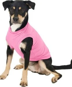 Frisco Dog & Cat Basic Hoodie + T-Shirt, Pink -PetNest Shop 302712 PT4. SY630 V1633064507