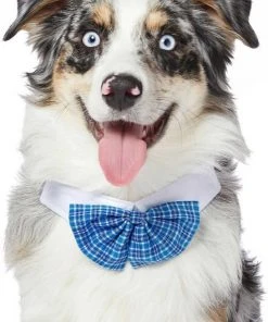 Frisco Plaid Dog & Cat Bow Tie, Orange & Blue + Blue -PetNest Shop 302770 PT4. SY630 V1623039753