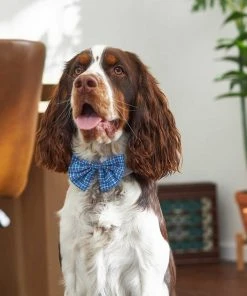 Frisco Plaid Dog & Cat Bow Tie, Orange & Blue + Blue -PetNest Shop 302770 PT6. SY630 V1623067356