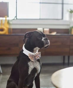 Frisco Plaid Dog & Cat Bow Tie, Orange & Blue + Polka Dot, Navy -PetNest Shop 302784 PT4. SY630 V1623088342
