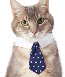 Frisco Plaid Dog & Cat Bow Tie, Orange & Blue + Polka Dot, Navy -PetNest Shop 302784 PT5. SY630 V1623037952