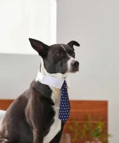 Frisco Plaid Dog & Cat Bow Tie, Orange & Blue + Polka Dot, Navy -PetNest Shop 302784 PT7. SY630 V1623057462