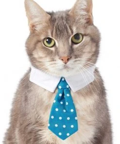 Frisco Plaid Dog & Cat Neck Tie, Blue Plaid + Polka Dot, Teal -PetNest Shop 302794 PT5. SY630 V1623084751