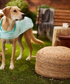 Frisco Rainy Days + Rubber Ducky Dog Raincoat -PetNest Shop 302838 PT7. SY630 V1623090458