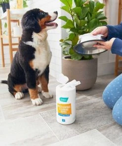 Catit||Frisco Catit Flower Plastic Fountain, 100-oz + Frisco Pet Toy & Bowl Cleaning Wipes -PetNest Shop 303288 PT7. SY630 V1623047247