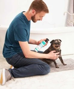 Frisco Aloe Hydrating Spray, 12-oz bottle + Oatmeal Shampoo with Aloe for Dogs & Cats, Almond Scent 14 Frisco Aloe Hydrating Spray, 12-oz bottle + Oatmeal Shampoo with Aloe for Dogs & Cats, Almond Scent -PetNest Shop 303372 PT3. SY630 V1623046355