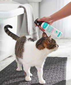 Frisco Aloe Hydrating Spray, 12-oz bottle + Oatmeal Shampoo with Aloe for Dogs & Cats, Almond Scent 15 Frisco Aloe Hydrating Spray, 12-oz bottle + Oatmeal Shampoo with Aloe for Dogs & Cats, Almond Scent -PetNest Shop 303372 PT4. SY630 V1623076060