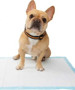 Frisco Dog Training & Potty Pads, 22 x 23-in, 150 count, Unscented + Multi-Surface Cleaning Citrus Scented Wipes 14 Frisco Dog Training & Potty Pads, 22 x 23-in, 150 count, Unscented + Multi-Surface Cleaning Citrus Scented Wipes -PetNest Shop 303400 PT4. SY630 V1623089554