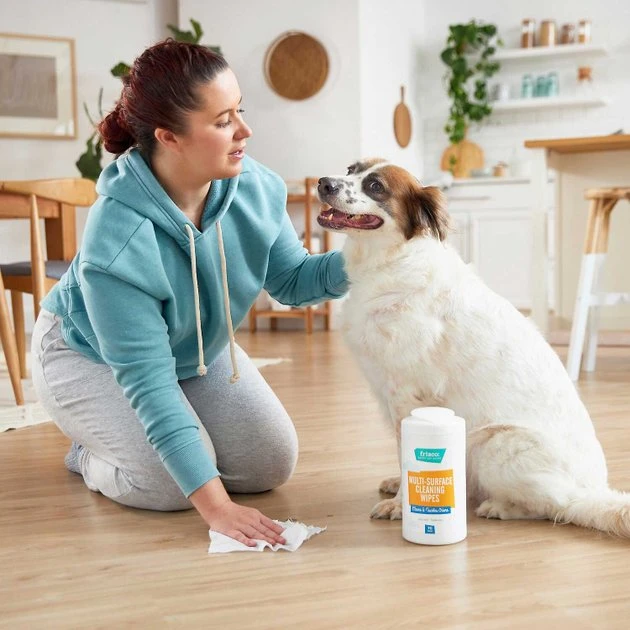 Frisco Dog Training & Potty Pads, 22 x 23-in, 150 count, Unscented + Multi-Surface Cleaning Citrus Scented Wipes 10 Frisco Dog Training & Potty Pads, 22 x 23-in, 150 count, Unscented + Multi-Surface Cleaning Citrus Scented Wipes - Image 8