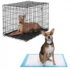 Frisco Heavy Duty Fold & Carry Double Door Collapsible Wire Crate & Mat Kit, + Extra Large Dog Training & Potty Pads, 28 x 34-in, 150 count, Unscented -PetNest Shop 303458 MAIN. SY630 V1623166359
