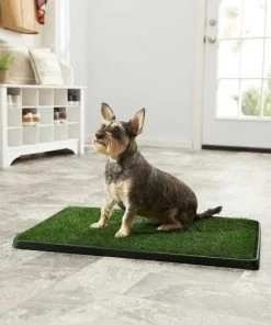 Frisco||PetSafe Frisco Indoor Grass Potty, 30 x 20 in + PetSafe Pet Loo Wee Care Enzyme Cleaner -PetNest Shop 303462 PT3. SY630 V1623049351