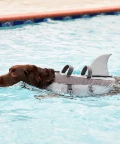 Frisco||KONG Frisco Shark Life Jacket + KONG Aqua Dog Toy, Medium -PetNest Shop 303588 PT4. SY630 V1623060745