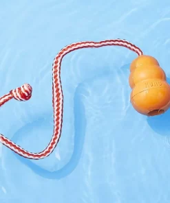 Frisco||KONG Frisco Shark Life Jacket + KONG Aqua Dog Toy, Medium -PetNest Shop 303588 PT7. SY630 V1623080252