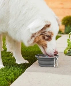 Frisco Silicone Collapsible Travel Bowl with Carabiner, Gray, 1.5 Cups + Pet Toy & Bowl Cleaning Wipes 14 Frisco Silicone Collapsible Travel Bowl with Carabiner, Gray, 1.5 Cups + Pet Toy & Bowl Cleaning Wipes -PetNest Shop 303616 PT4. SY630 V1623056860