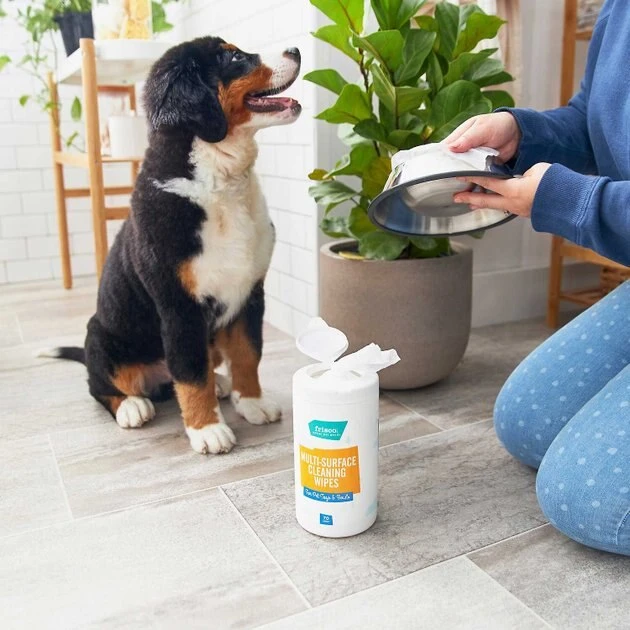 Frisco Silicone Collapsible Travel Bowl with Carabiner, Gray, 1.5 Cups + Pet Toy & Bowl Cleaning Wipes 10 Frisco Silicone Collapsible Travel Bowl with Carabiner, Gray, 1.5 Cups + Pet Toy & Bowl Cleaning Wipes - Image 8