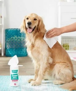 Mobile Dog Gear||Frisco Mobile Dog Gear Week Away Tote Travel Bag, Black, Medium/Large + Frisco Hypoallergenic Grooming Wipes with Aloe for Dogs & Cats, Unscented, 50 count -PetNest Shop 303696 PT8. SY630 V1623055957