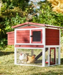 Frisco Wooden Outdoor Chicken Coop