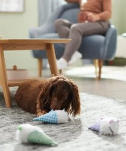 Frisco Easter Gnomes Plush Squeaky Dog Toy, 3 count -PetNest Shop 304948 PT3. SY630 V1642441107