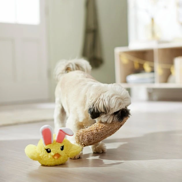 Frisco Easter Chick in Nest 2-in-1 Plush Squeaky Dog Toy 5 Frisco Easter Chick in Nest 2-in-1 Plush Squeaky Dog Toy - Image 3